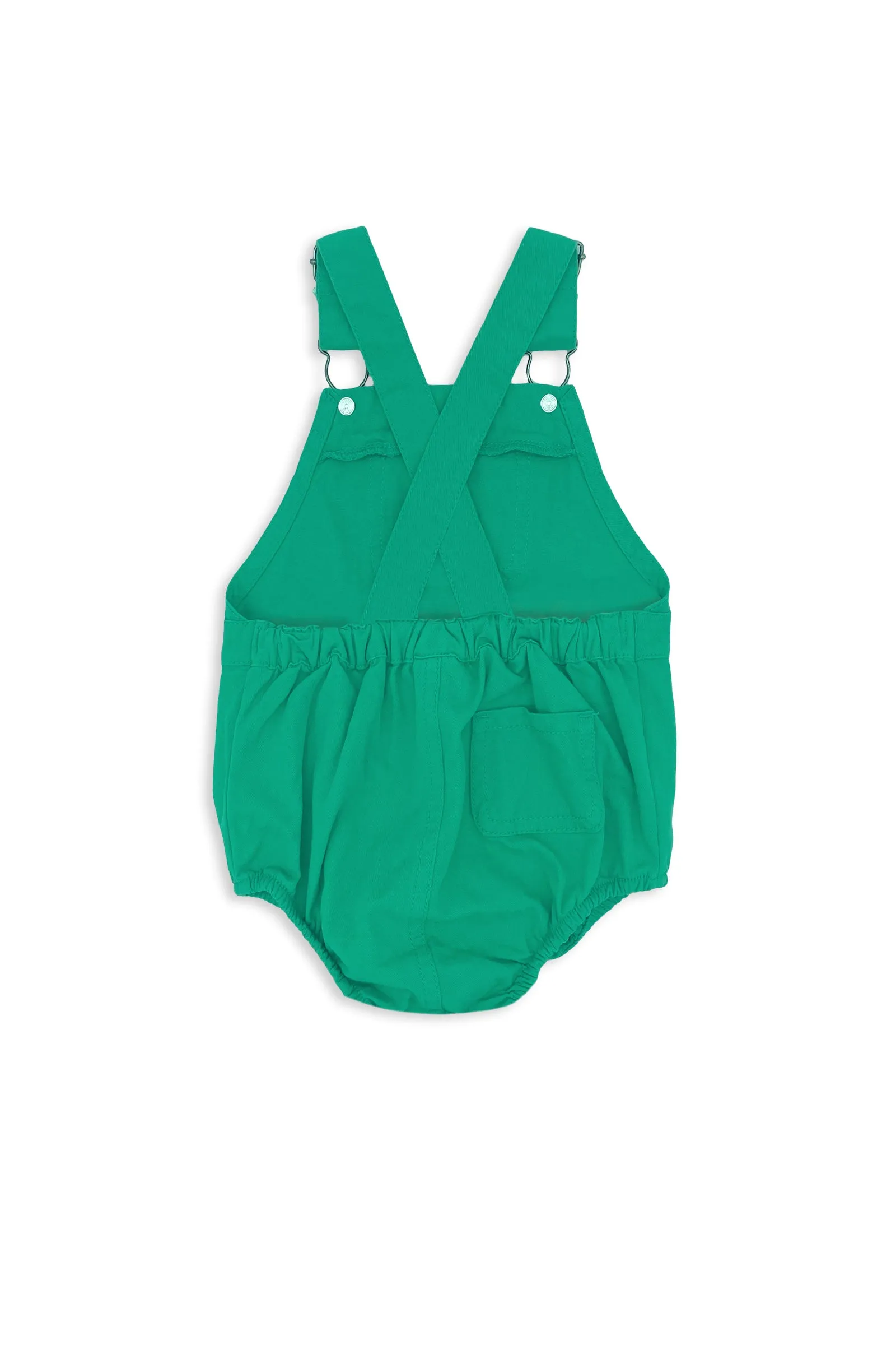 Fern Overall